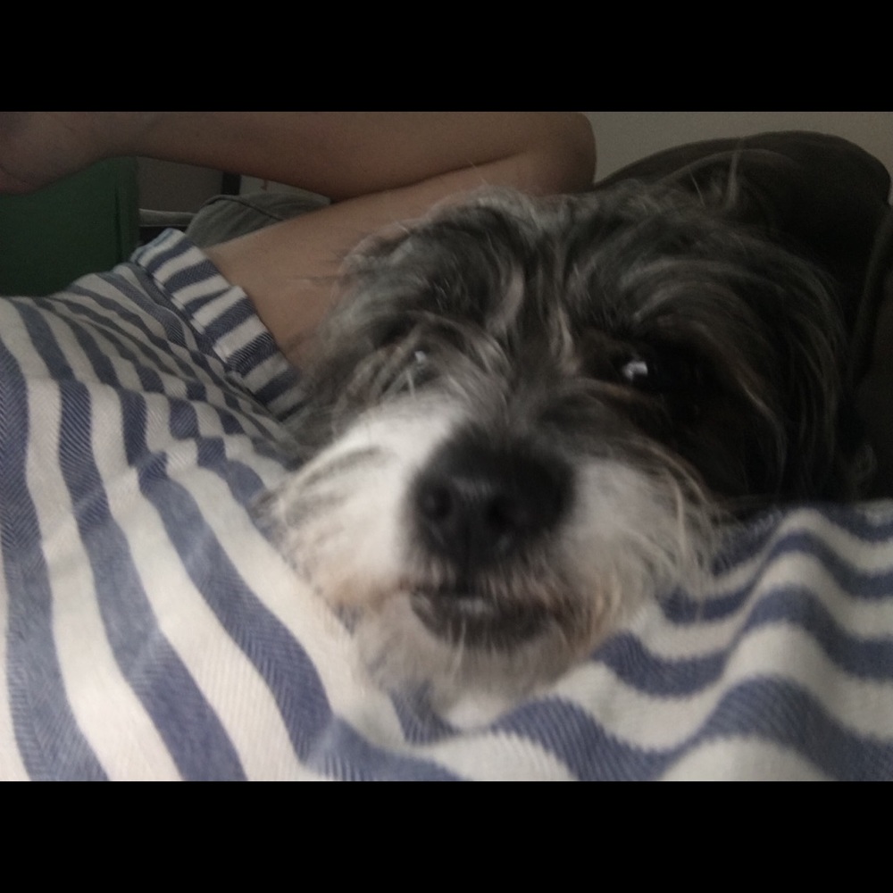 Meet your Posher, Liza